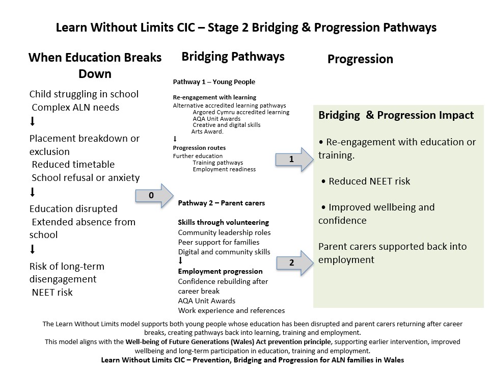 Diagram showing bridging pathways for young people and parent carers leading to re-engagement and progression